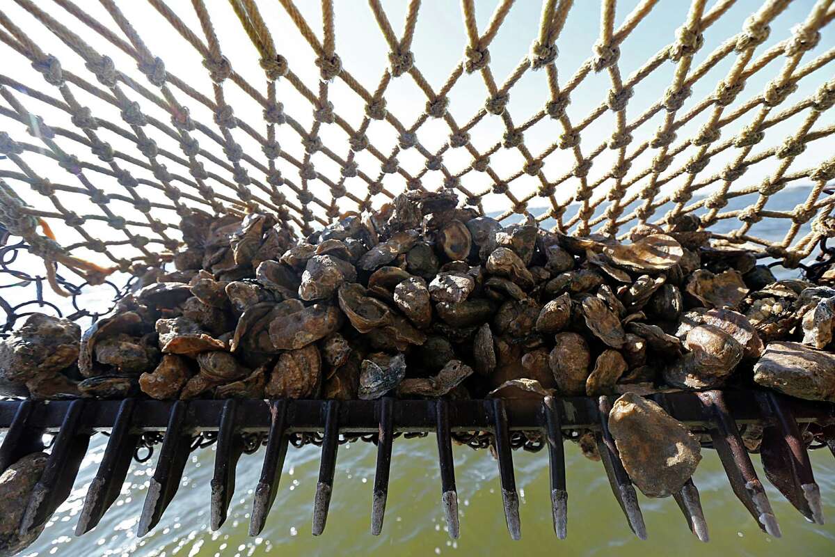 Drought, rain combine for terrible oyster season in Texas