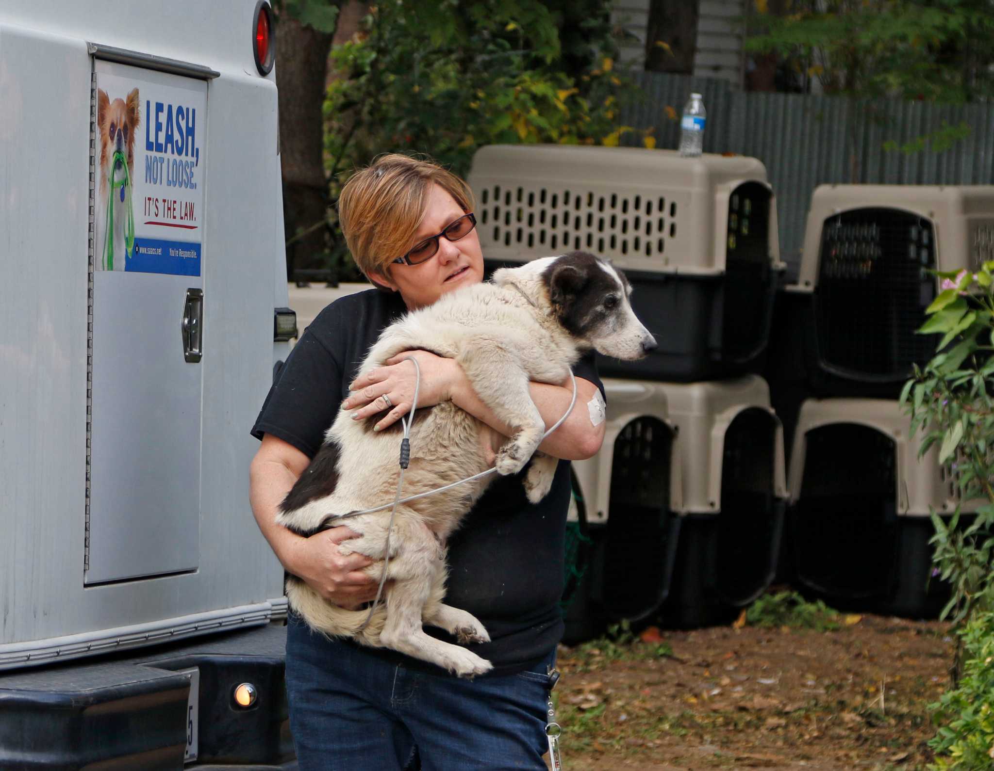 ACS: More than 100 animals seized from West Side home