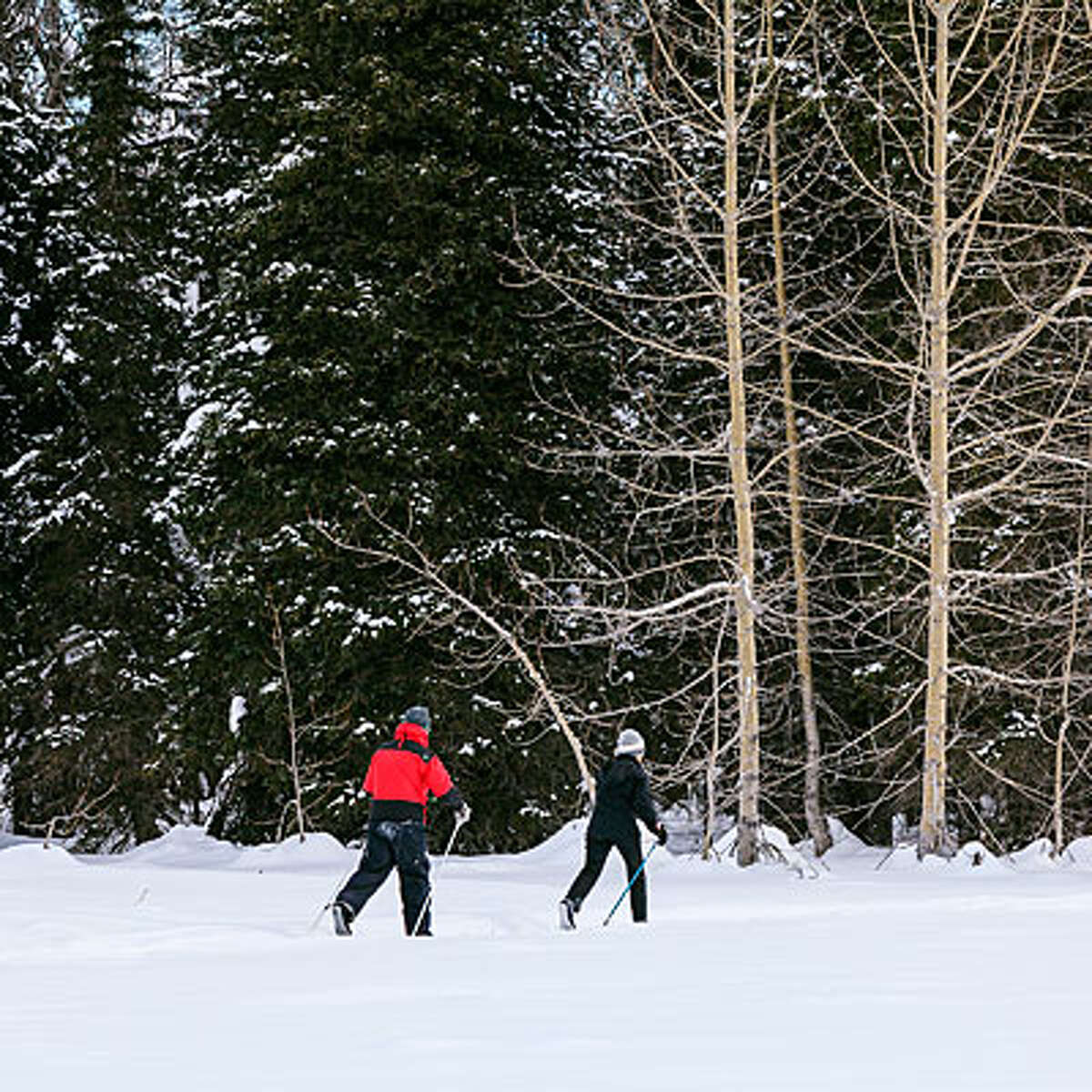 12 cozy winter lodges