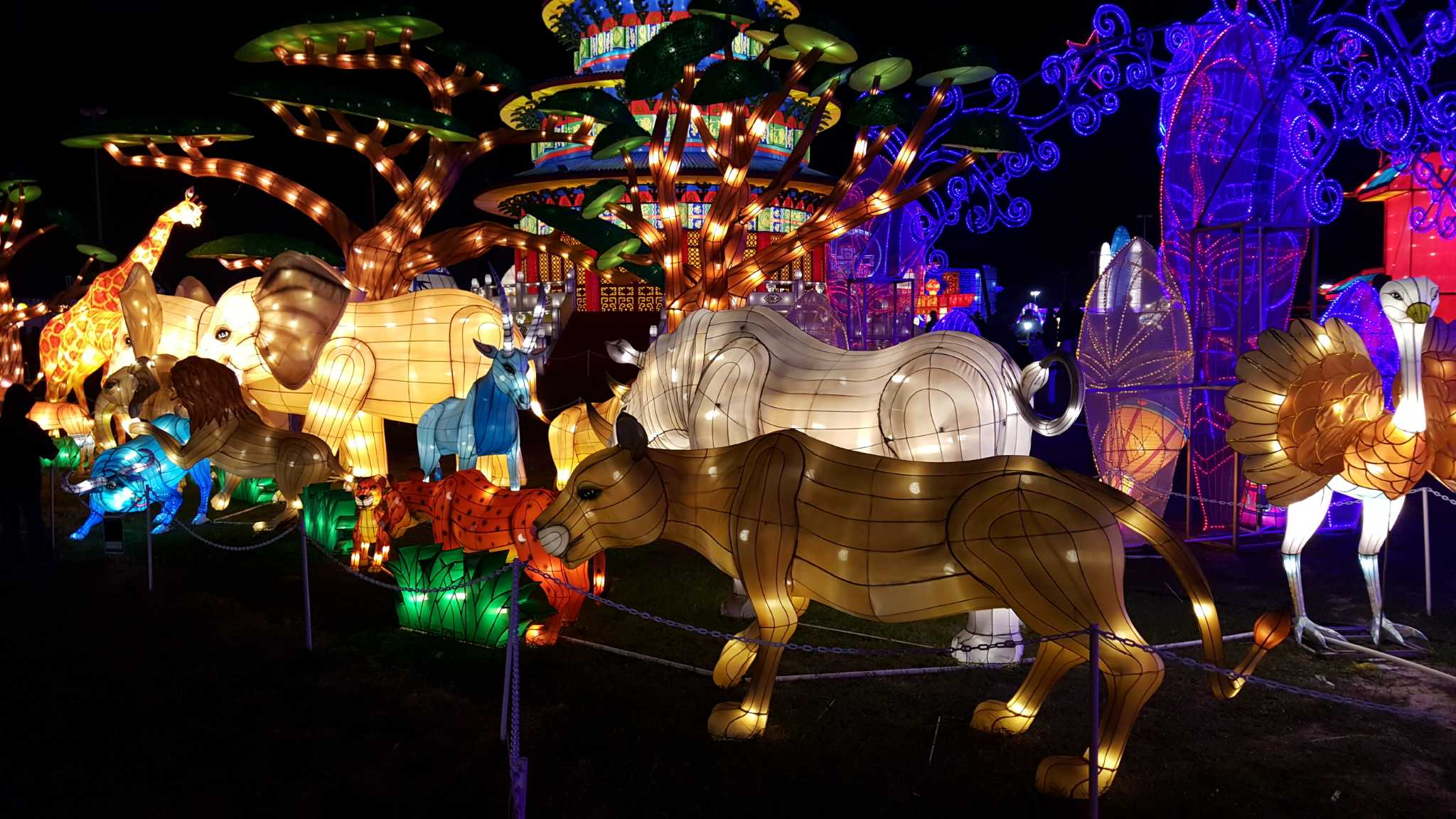 light lantern festival houston