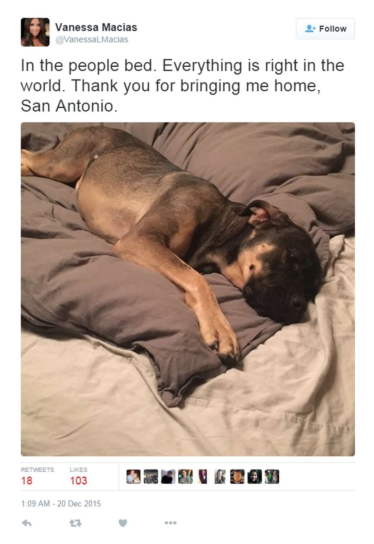 "In the people bed. Everything is right in the wold. Thank you for me home, San Antonio."