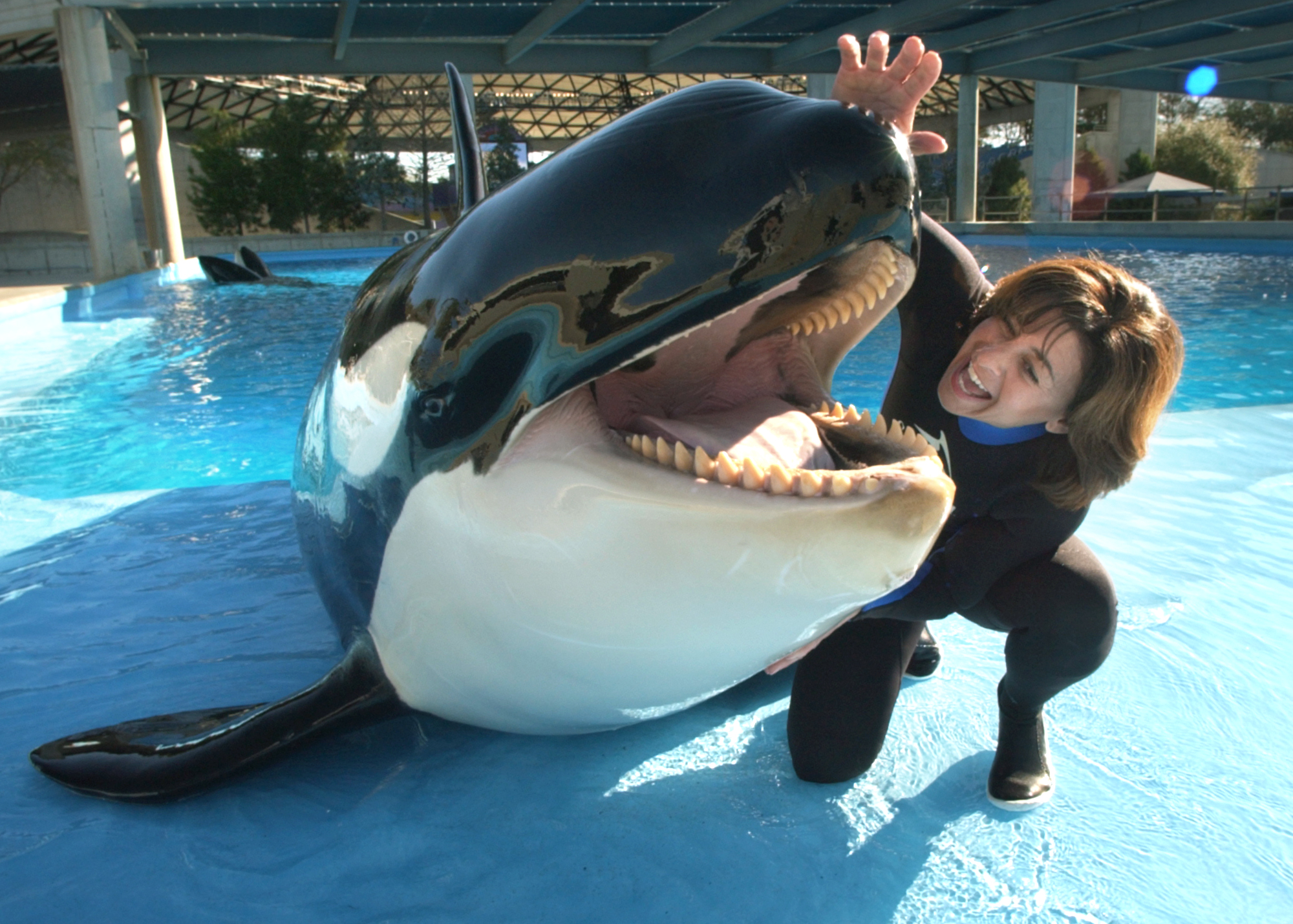 killer-whale-dies-at-seaworld-san-antonio