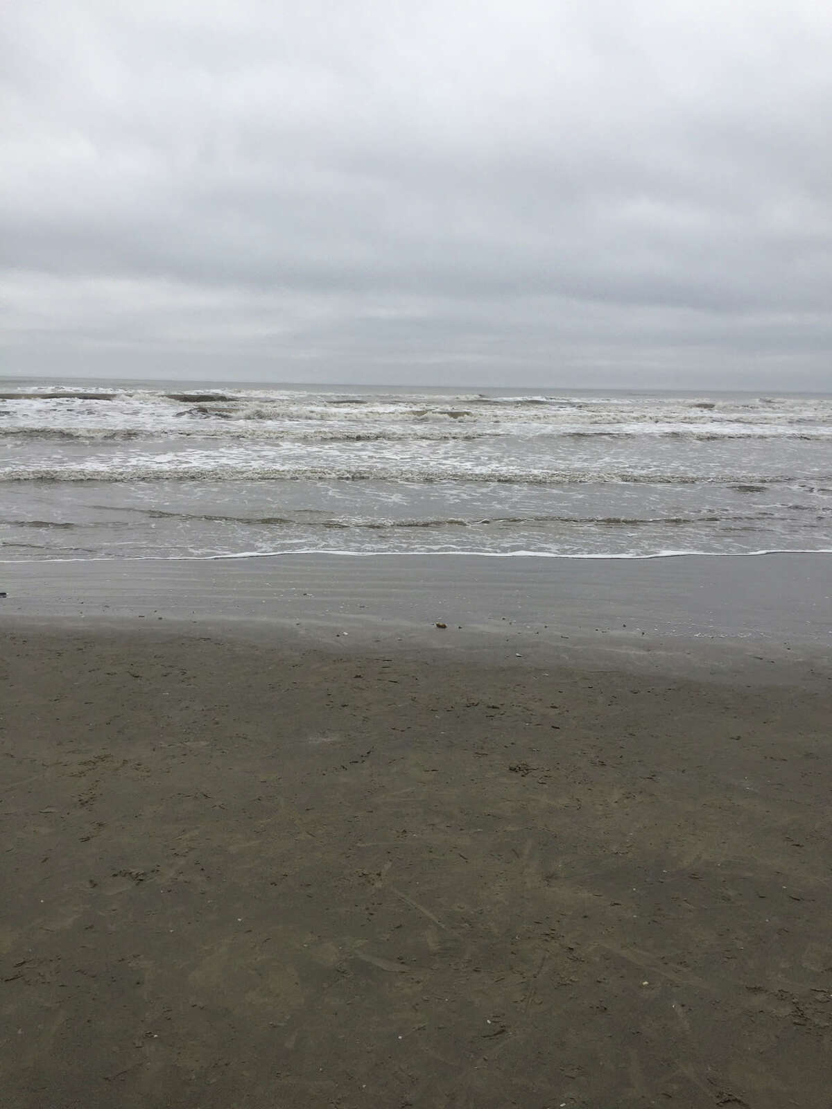 Beached whale dies after becoming stranded along Galveston Isle