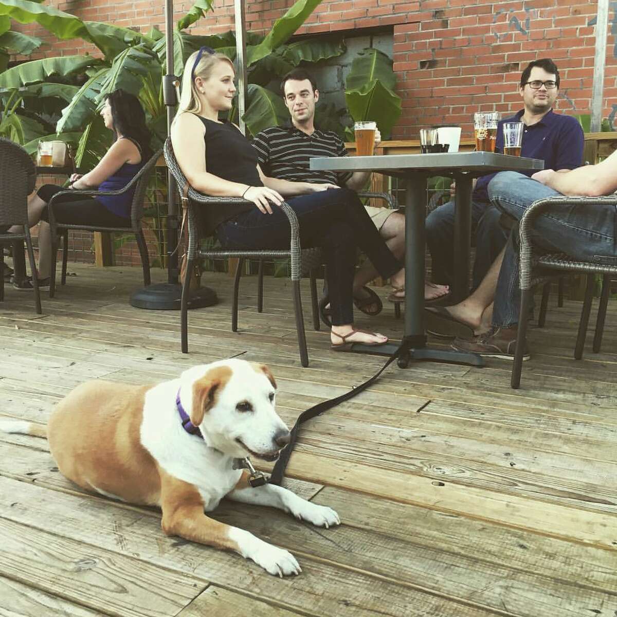 The Durham House to open Oct. 9