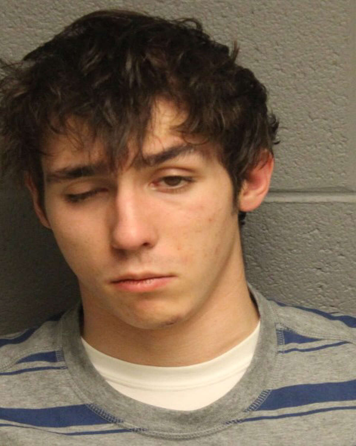 Monroe police arrested Nicholas Ludwig on drug and larceny charges on Dec. 23.
