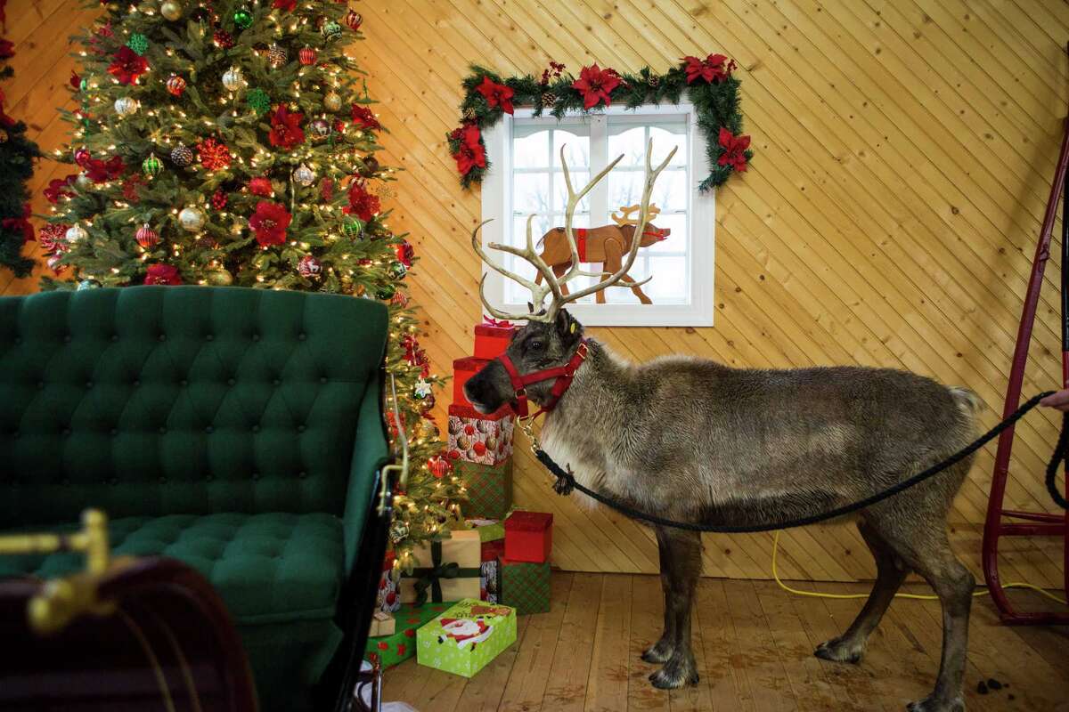 Reindeer rentals cash cows — but only for holidays