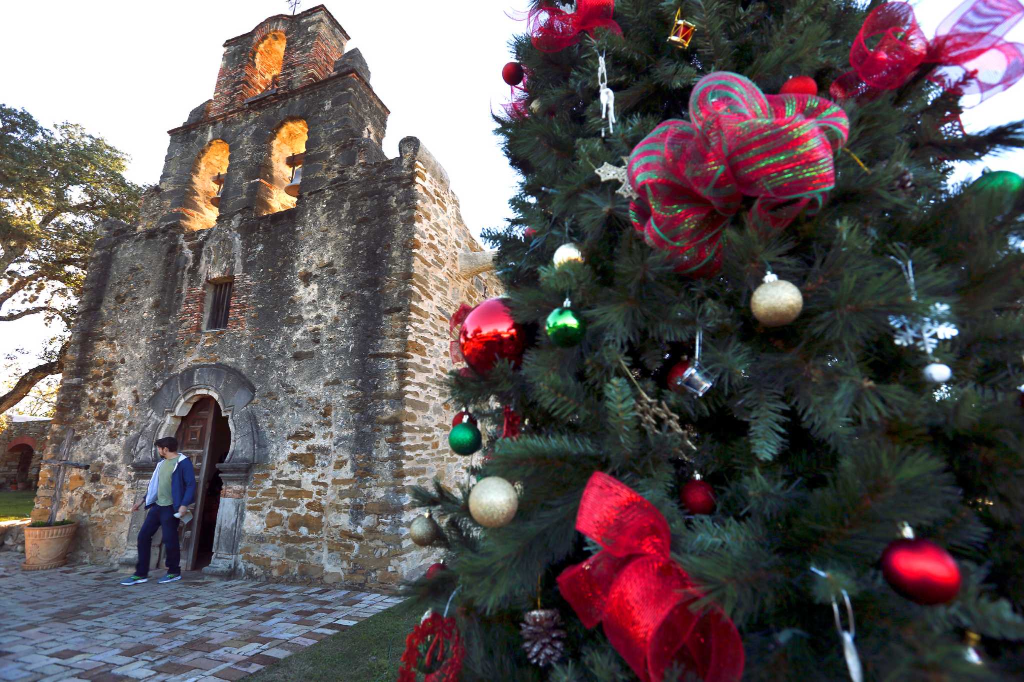 Rising Christmas tree prices? Blame the recession