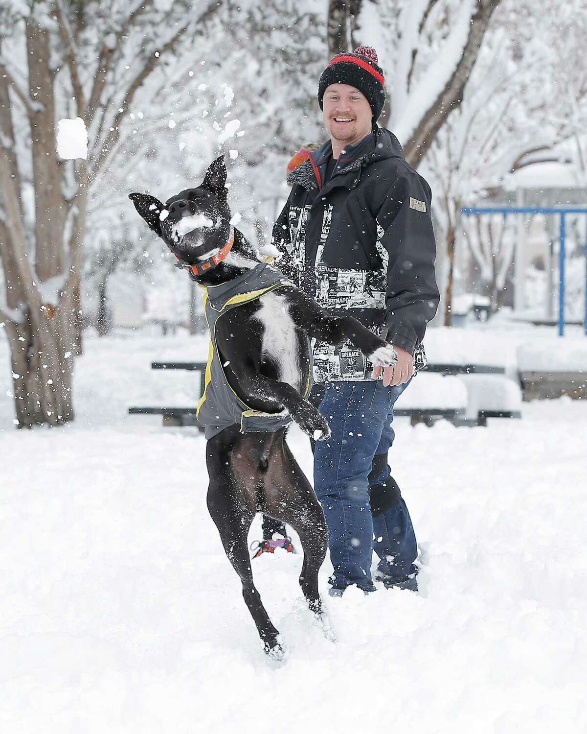 Miles Overstreet throws snowballs to his dog Ferris as they play at Madeline Park in the Kern Place neighborhood of El Paso, Texas, Sunday, Dec. 27, 2015. A heavy snowfall created a winter playground for El Pasoans after several inches remained from an overnight storm.