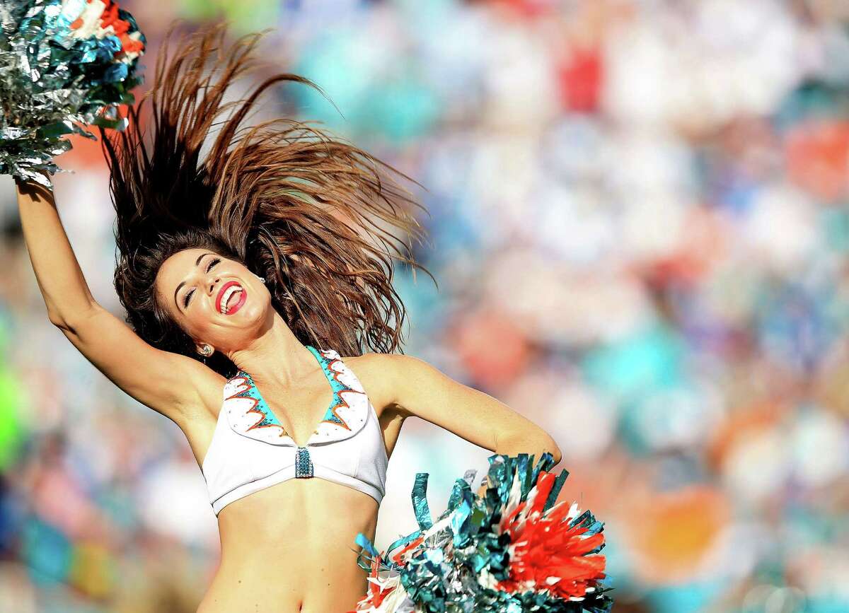 miami dolphins cheerleaders wallpaper