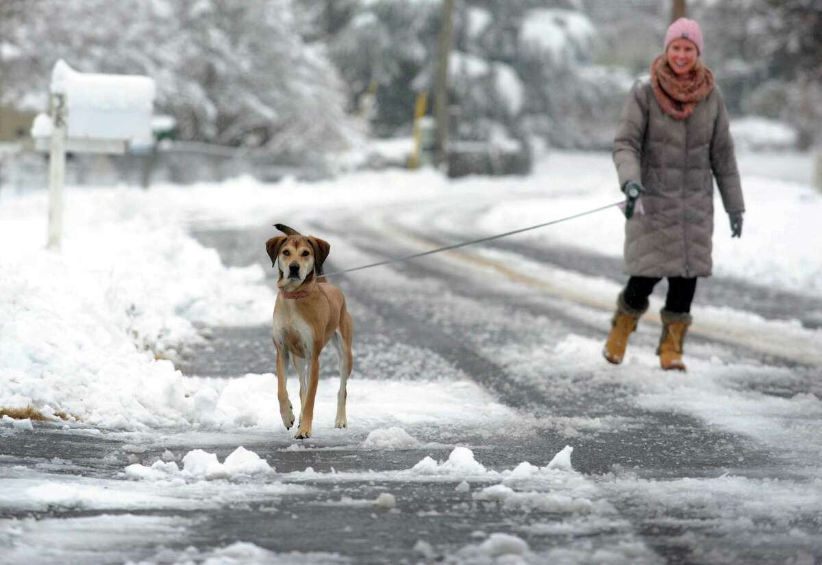 Kristen Hardiman walks her dog Barkley through the snow covered roads in Fairfield, Conn. on Saturday, Jan. 24, 2015. After an overnight accumulation, the snow transitioned to rain by late morning.