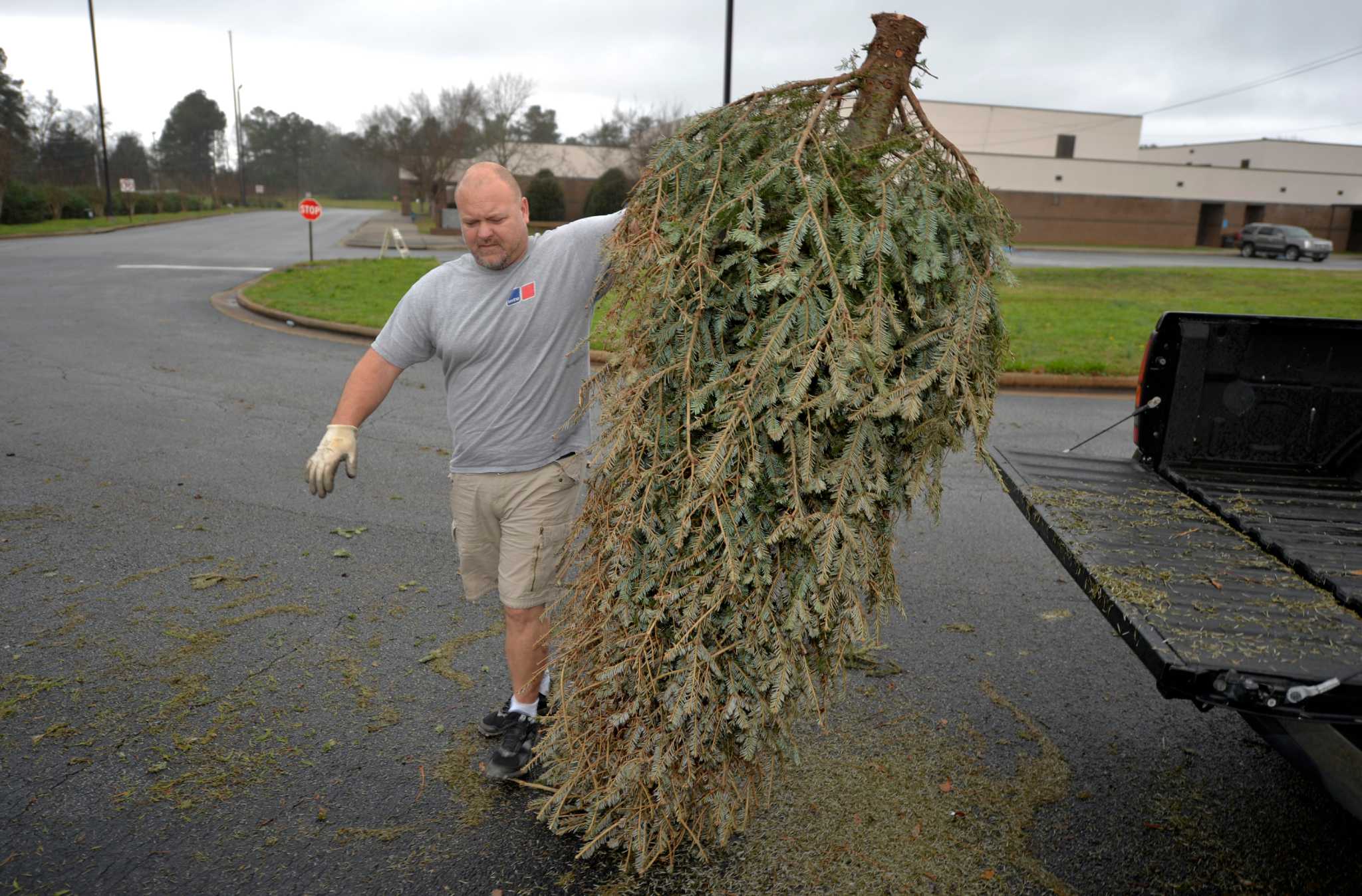 Christmas tree pickup scheduled in Milford