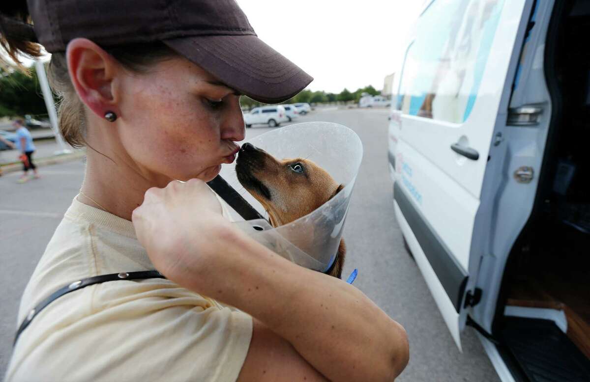 Wendy Black gives a kiss to her foster dog, Bean, before the puppy departs on a road trip in the Animal Rescue Friends (ARF) transport vehicle in front of Petco offices on Saturday, Sept. 26, 2015. Through a grant by the Petco Foundation, ARF acquired a larger, air-conditioned transport more suitable and comfortable for their furry friends. Foster families tearily relinquished their companions and watched as the dogs were placed into the Mercedes-Benz van for an eastbound roadtrip. ARF founder Virginia Davidson and husband Greg Kidd departed San Antonio for a 40-hour drive which includes numerous stops for the dogs. They will eventually arrive at a no-kill shelter in New Hampshire. (Kin Man Hui/San Antonio Express-News)