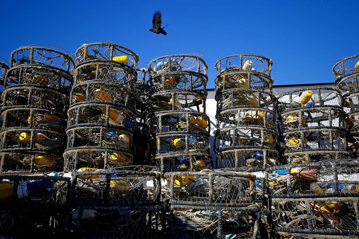 Commercial crab fisherman have their crab pots sitting idle on Pier 45 in San Francisco, Calif., on Thursday December 31, 2015, as California's commercial crab season remains closed after a neurotoxin was found in local Dungeness crab earlier this year.