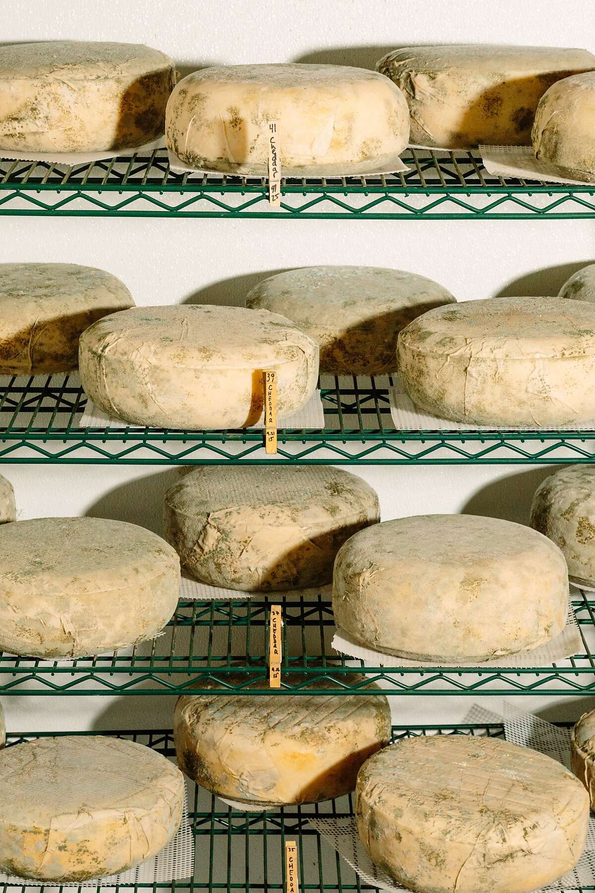 Cambria A taste of coastal town’s charm