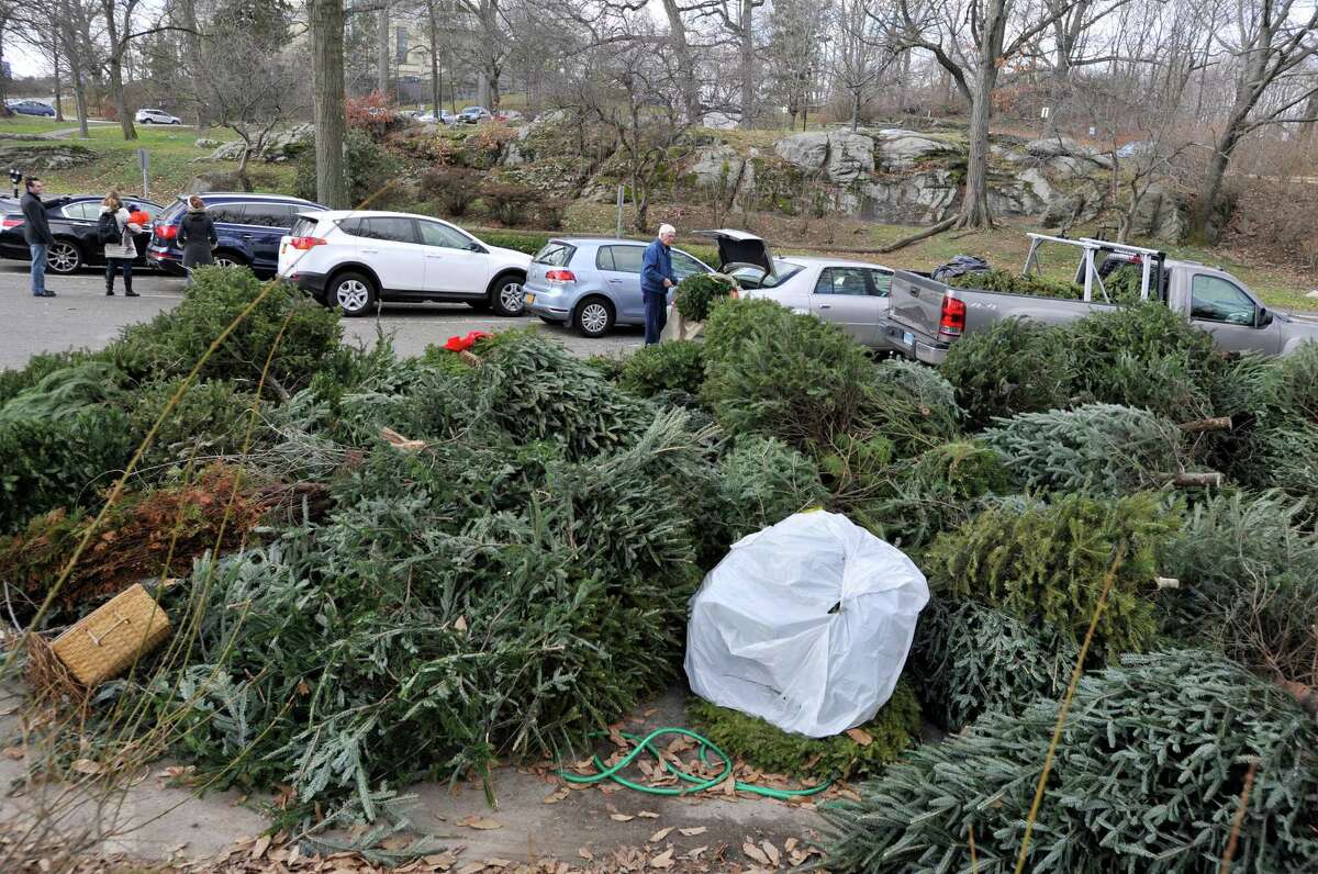 Christmas tree disposal in CT How to do it in your city or town