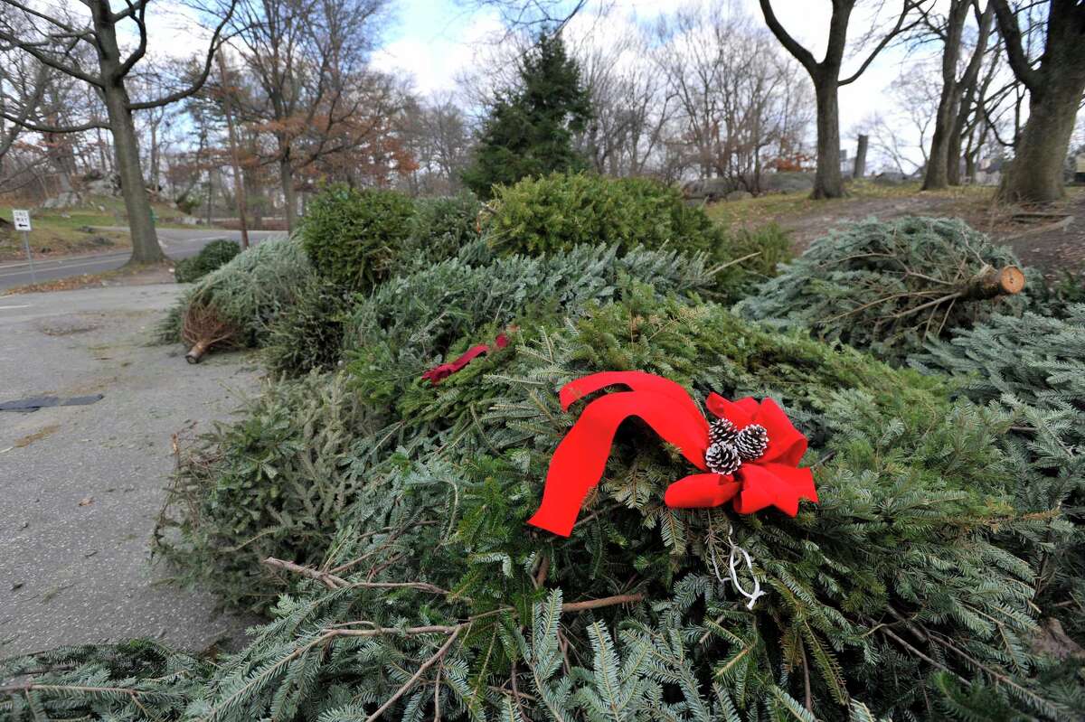 Christmas tree disposal in CT How to do it in your city or town