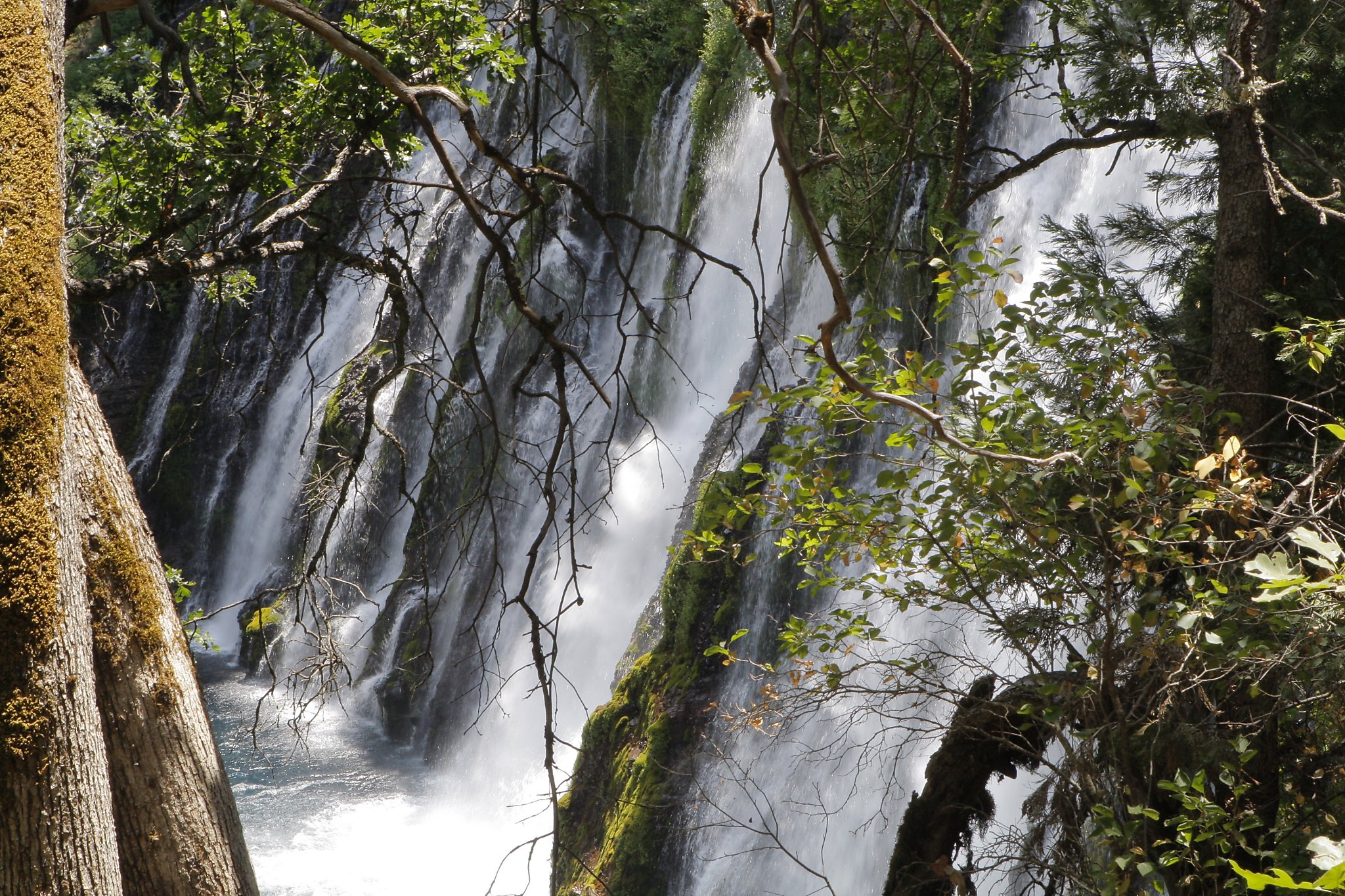Waterfalls soon to be overflowing with wonders