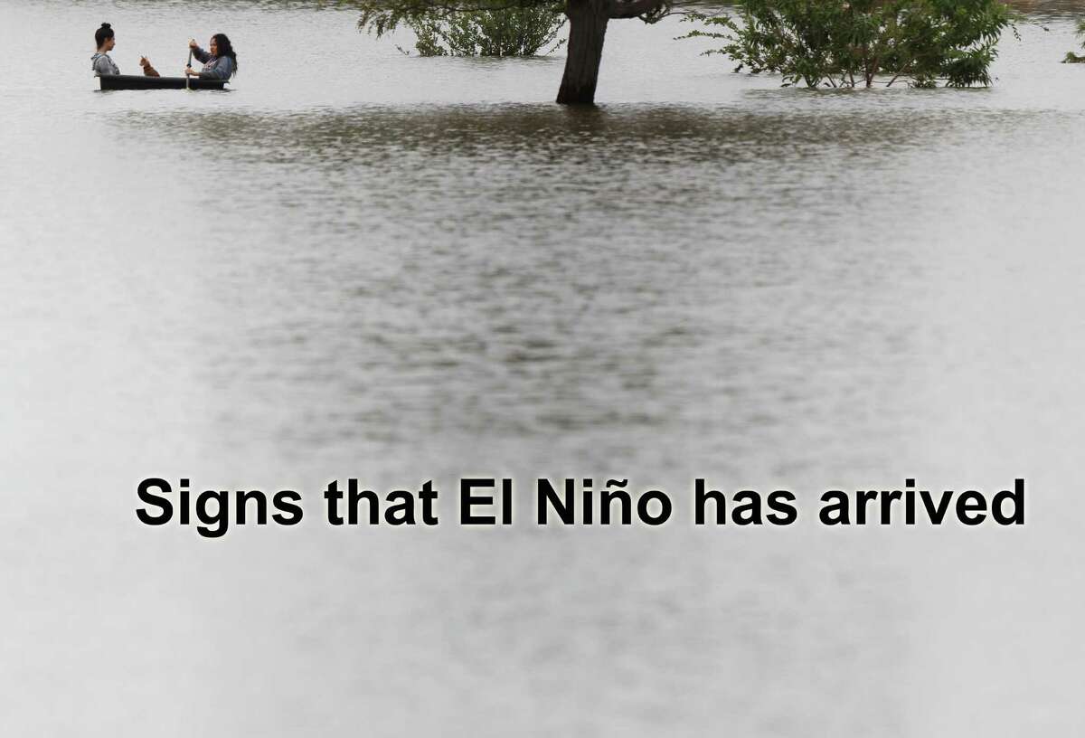 Signs that El Niño has arrived.