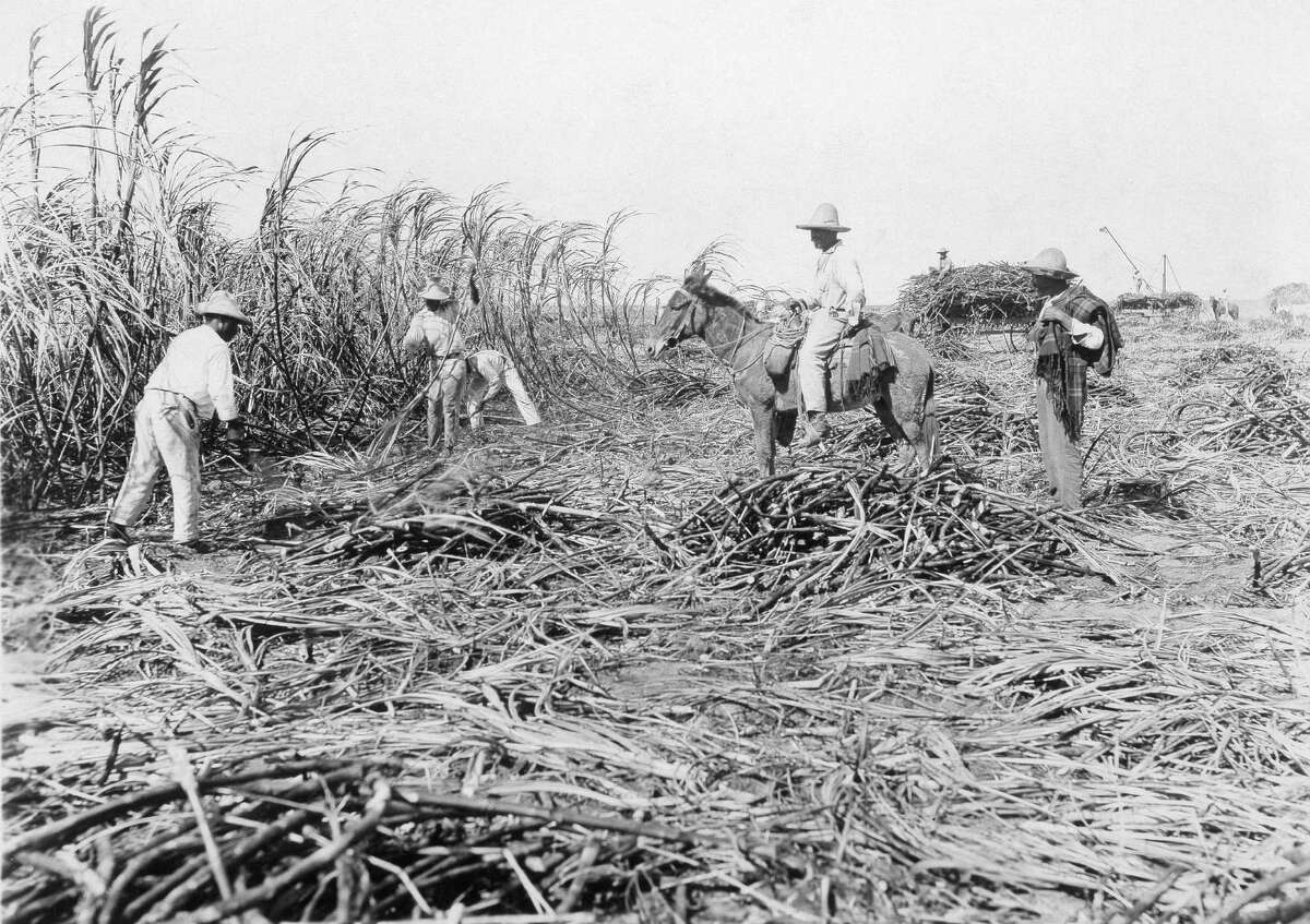 What Los Mochis, Sinaloa looked like before drug violence took over