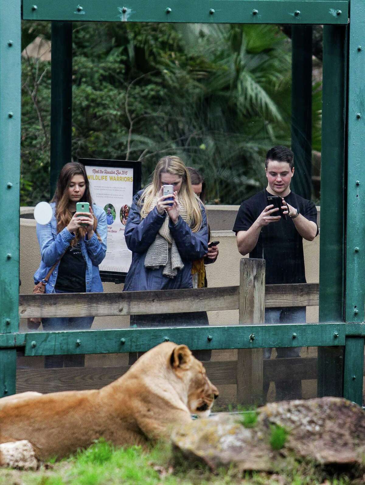 New CEO wants to make Houston Zoo worldclass by 2022