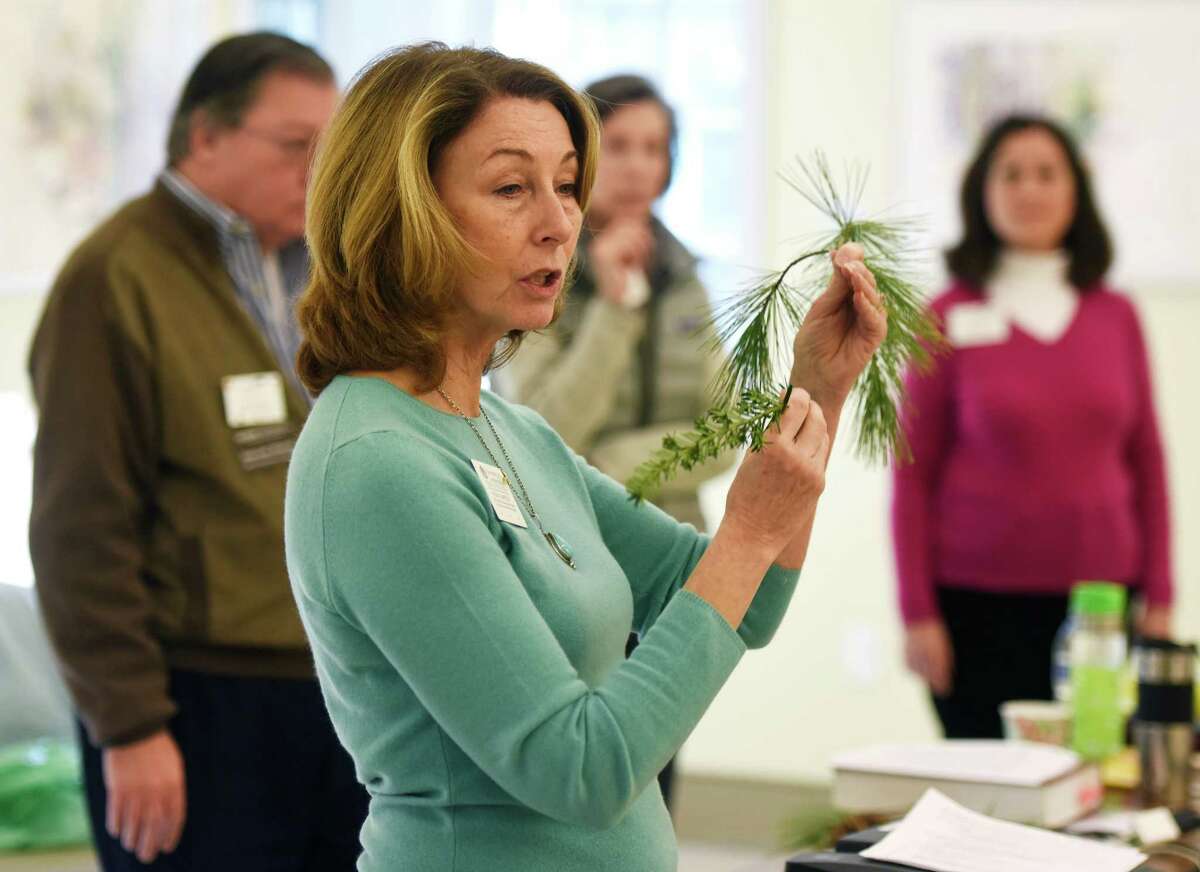 Master gardener mentor Regina Campfield helps teach the Univeristy of Connecticut’s master gardener class at the Bartlett Arboretum in Stamford last week.