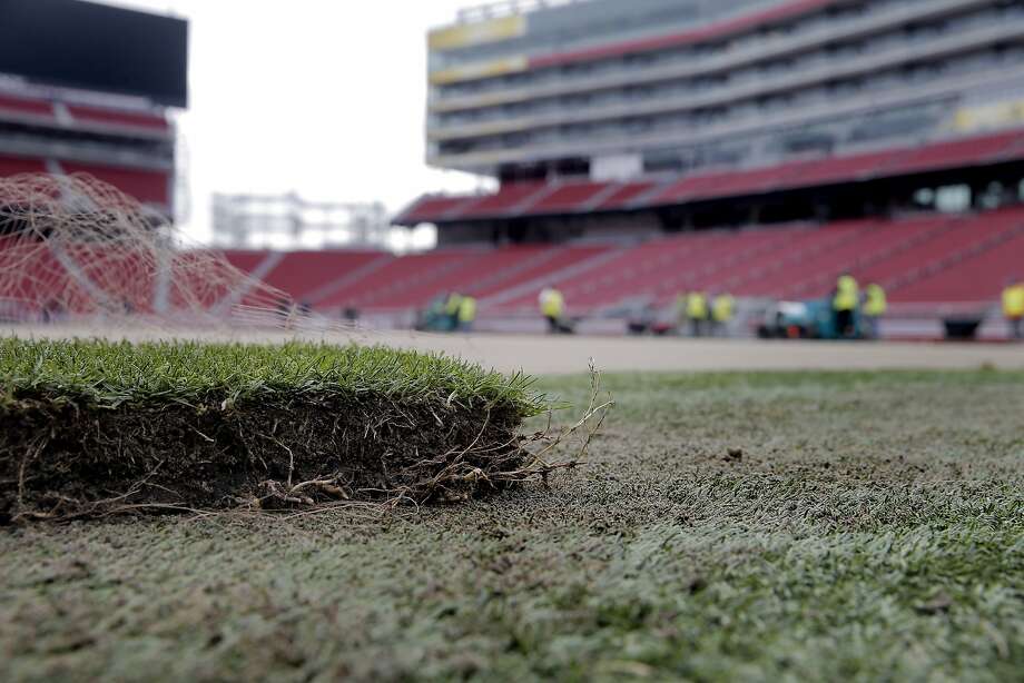 The grass is greener in Santa Clara, as NFL rolls out new turf - SFGate