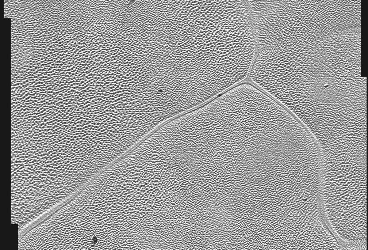 NASA pics show snaillike objects traversing Pluto