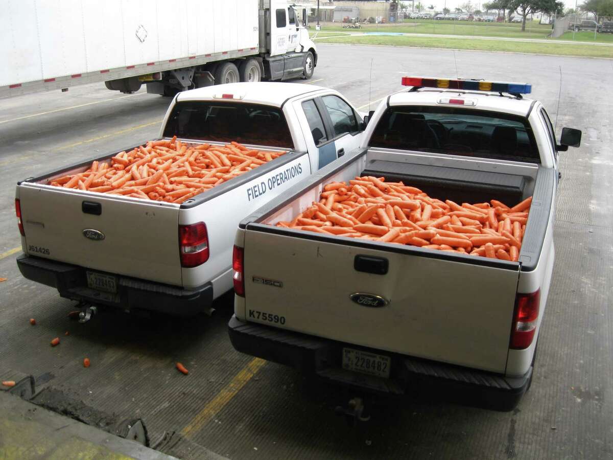 Border agents discovered 2,817 packages of pot, which CBP officials say carries an estimated street value of $500,000, in this shipment of carrots intercepted at the Pharr International Bridge on Jan. 10, 2016.