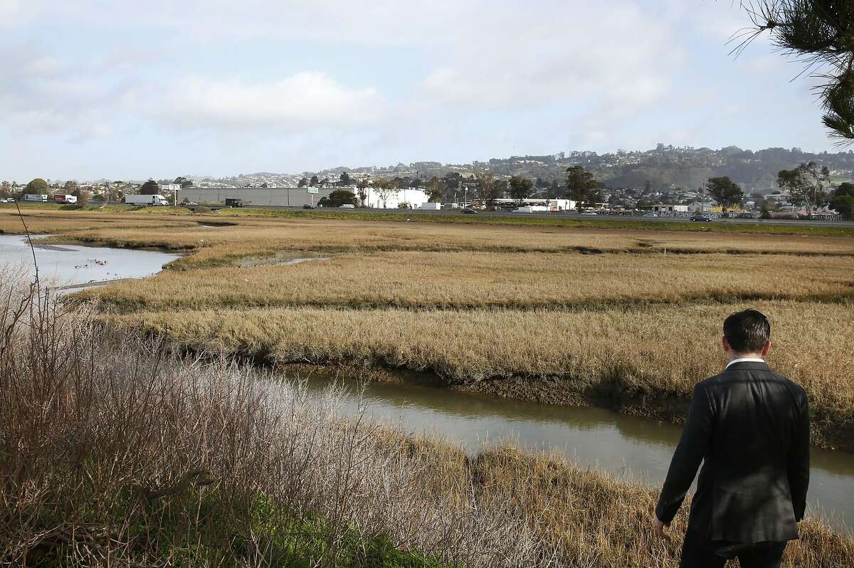 Adrian Covert, a policy director for the Bay Area Council pictured next to wetlands he wants restored near Point Isabel Regional Shoreline Jan. 13, 2015 in Richmond, Calif. A proposed ballot measure in all nine Bay Area counties would pay for major restoration in wetlands and coastal ecosystems of the San Francisco Bay, including the wetlands near Point Isabel Regional Shoreline in Richmond.