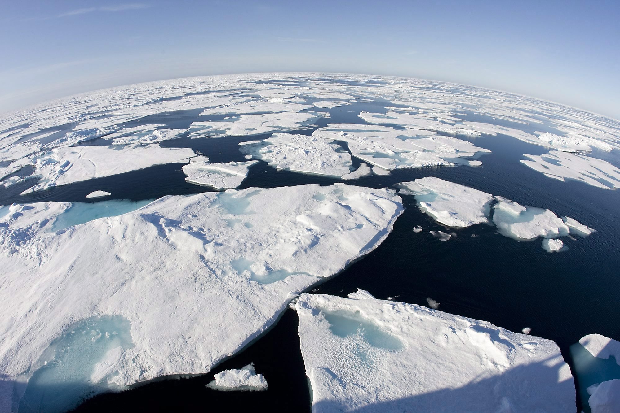 Проект ледовитые океаны. Северный Ледовитый полюс. Ледяной Покров Северного Ледовитого океана. Северный Ледовитый океан полюс. Северный Ледовитый океан Южный полюс.