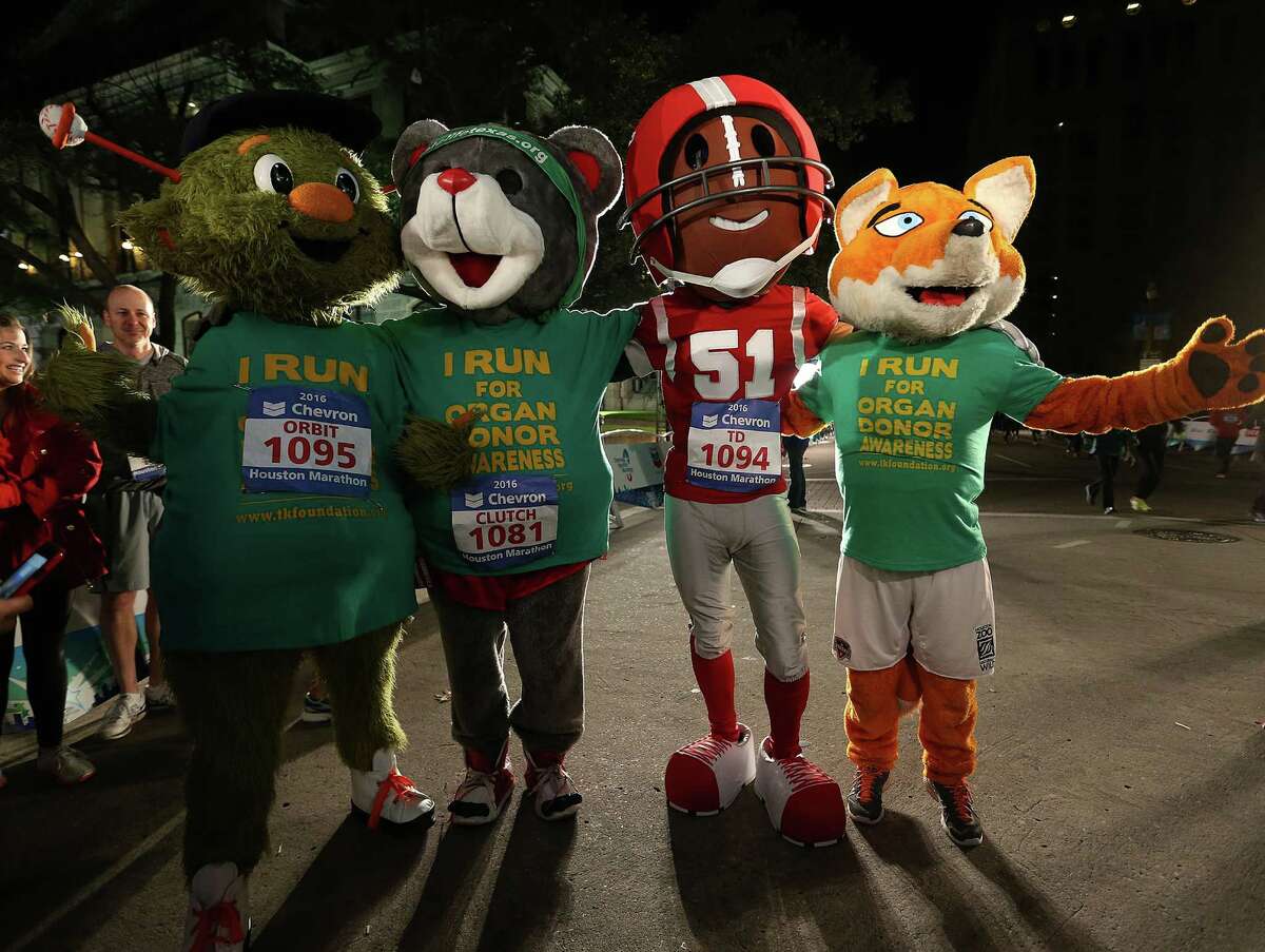 super bowl teams mascots