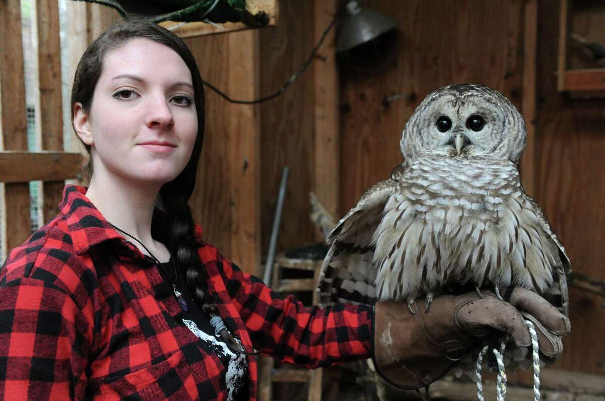 Shaker High student Malerie Muratori with and owl named Jasper in the barred owl habitat at Whispering Willow Wildcare on Saturday Jan. 16, 2016 in Guilderland, N.Y. (Michael P. Farrell/Times Union)