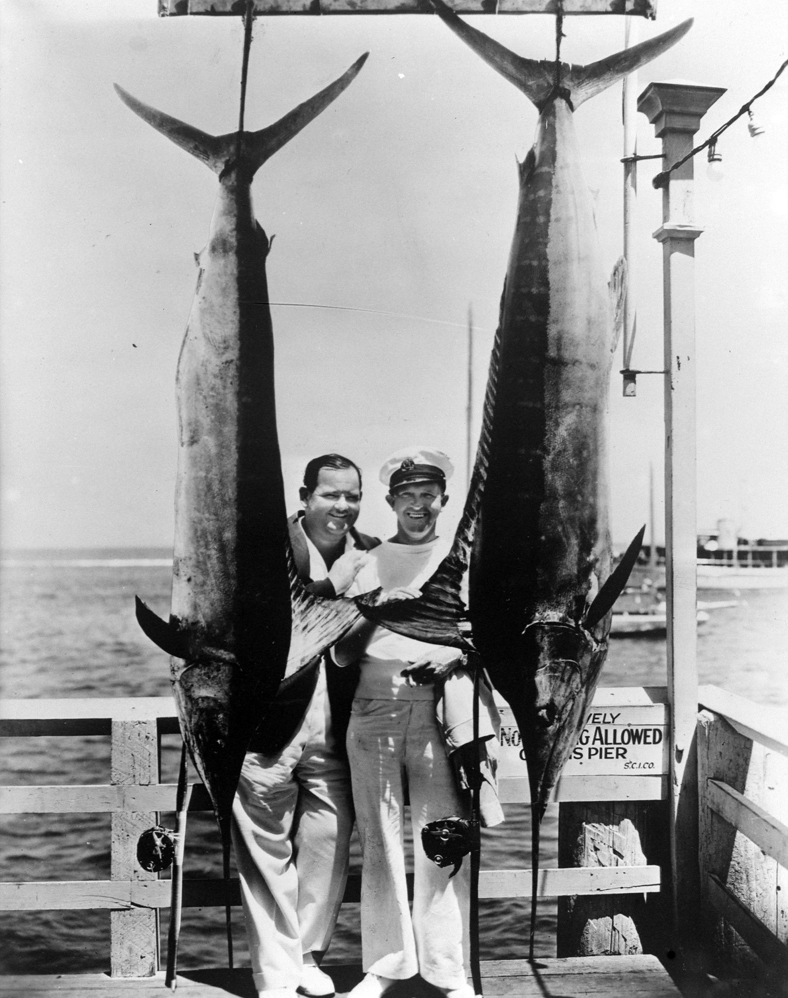 Comedy stars Oliver Hardy and on right Stan Laurel with Marlin they have caught while big game fishing, circa 1930.