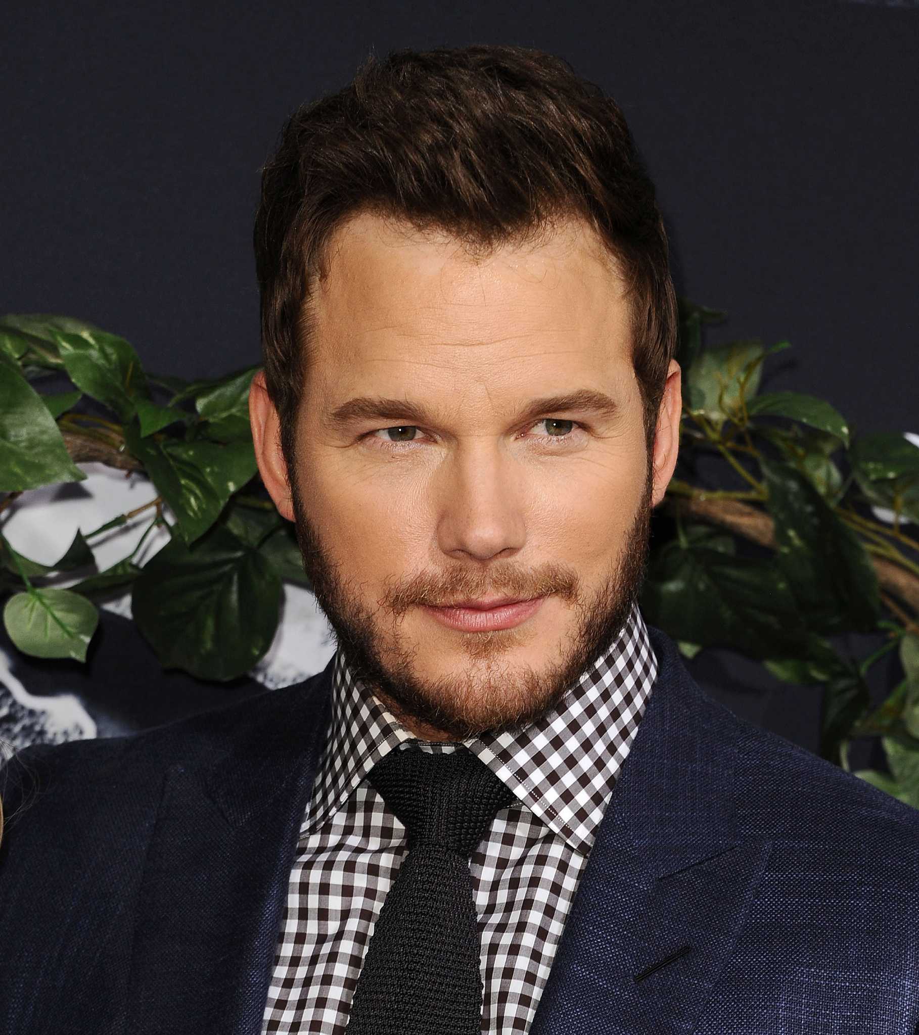 Top 95+ Wallpaper Is Chris Pratt A Ginger Sharp