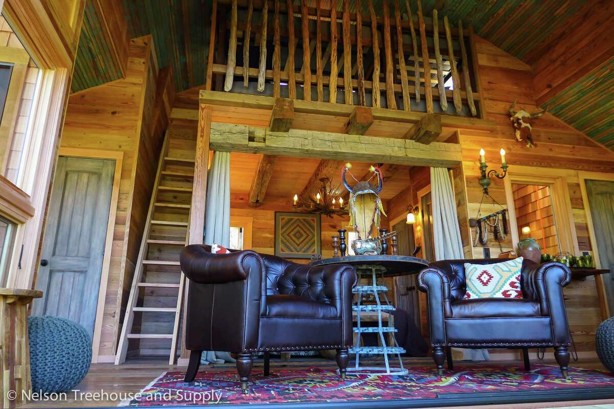 Animal stops in Texas for its 'Treehouse Masters' season opener