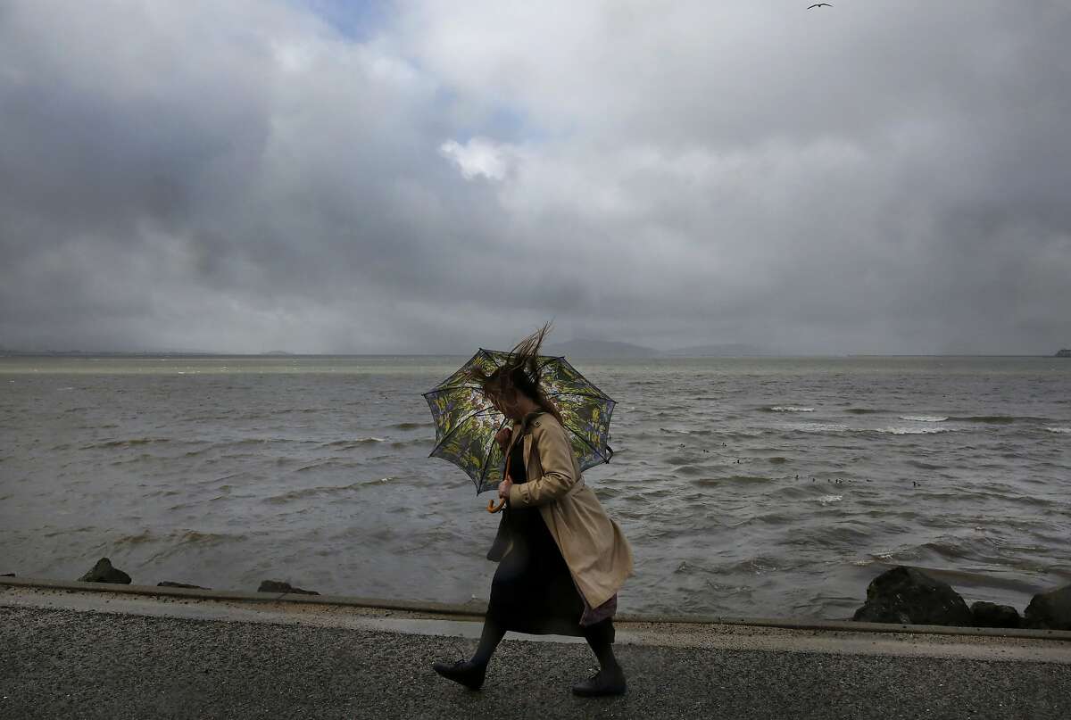 Lisa Lippincott tries to shelter herself from the rain as she walks to work on the San Francisco Bay Trail along W. Frontage Road Jan. 19, 2016 in Berkeley, Calif.