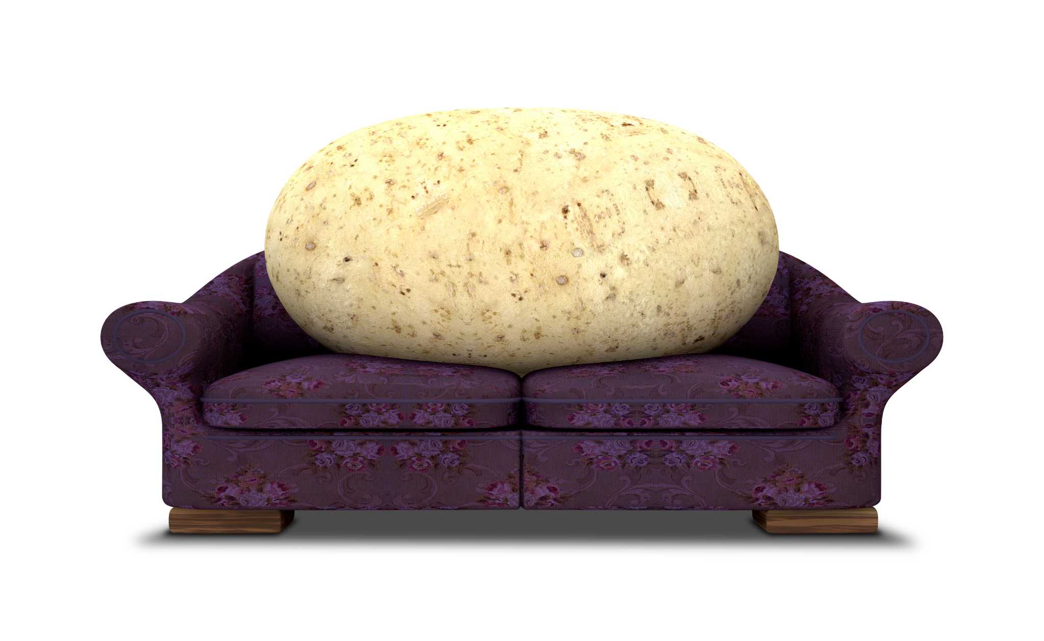 couch potato renamer