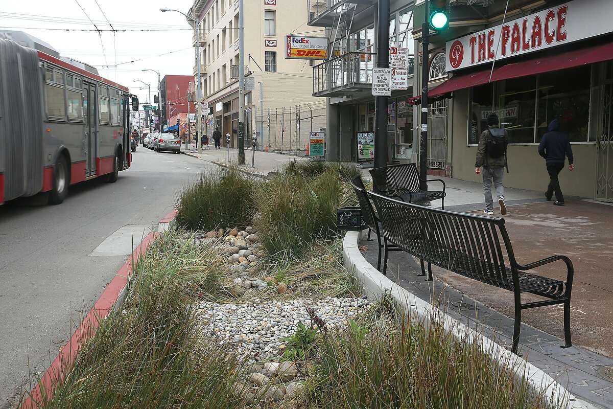 Even in the most urban areas, rain gardens can capture and filter stormwater. In San Francisco, rain gardens like this one on Cesar Chavez Street cut on the amount of storm water entering the combined sewer system by 53 percent.