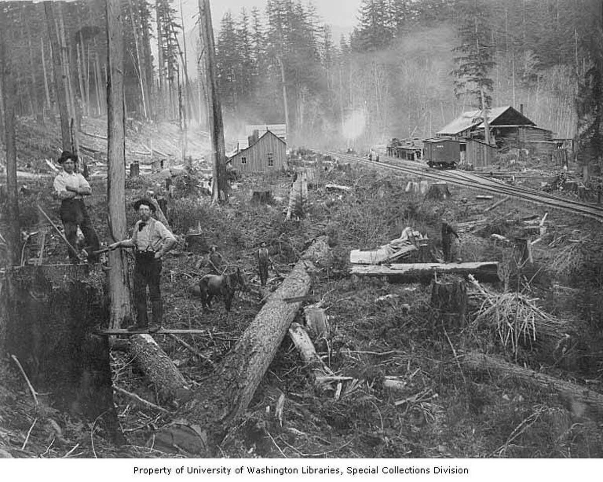 History of felling trees