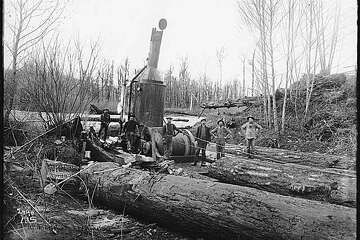 The Northwest's logging heritage