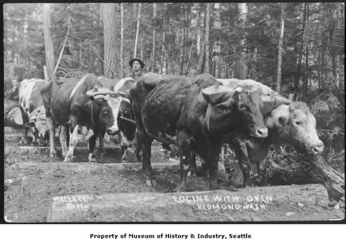Photos: A tale of the Northwest's logging past