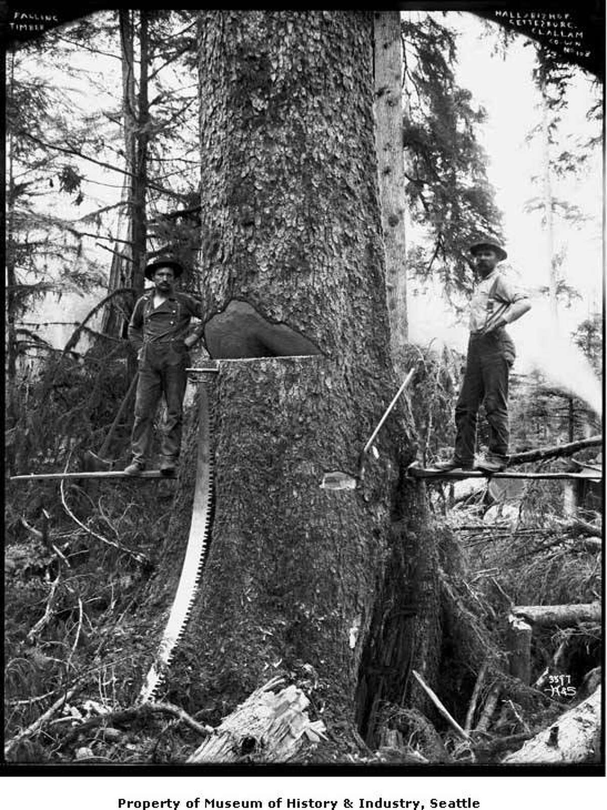 Photos A tale of the Northwest's logging past