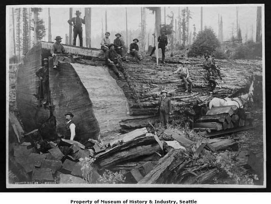 Photos A Tale Of The Northwests Logging Past Seattlepicom - 