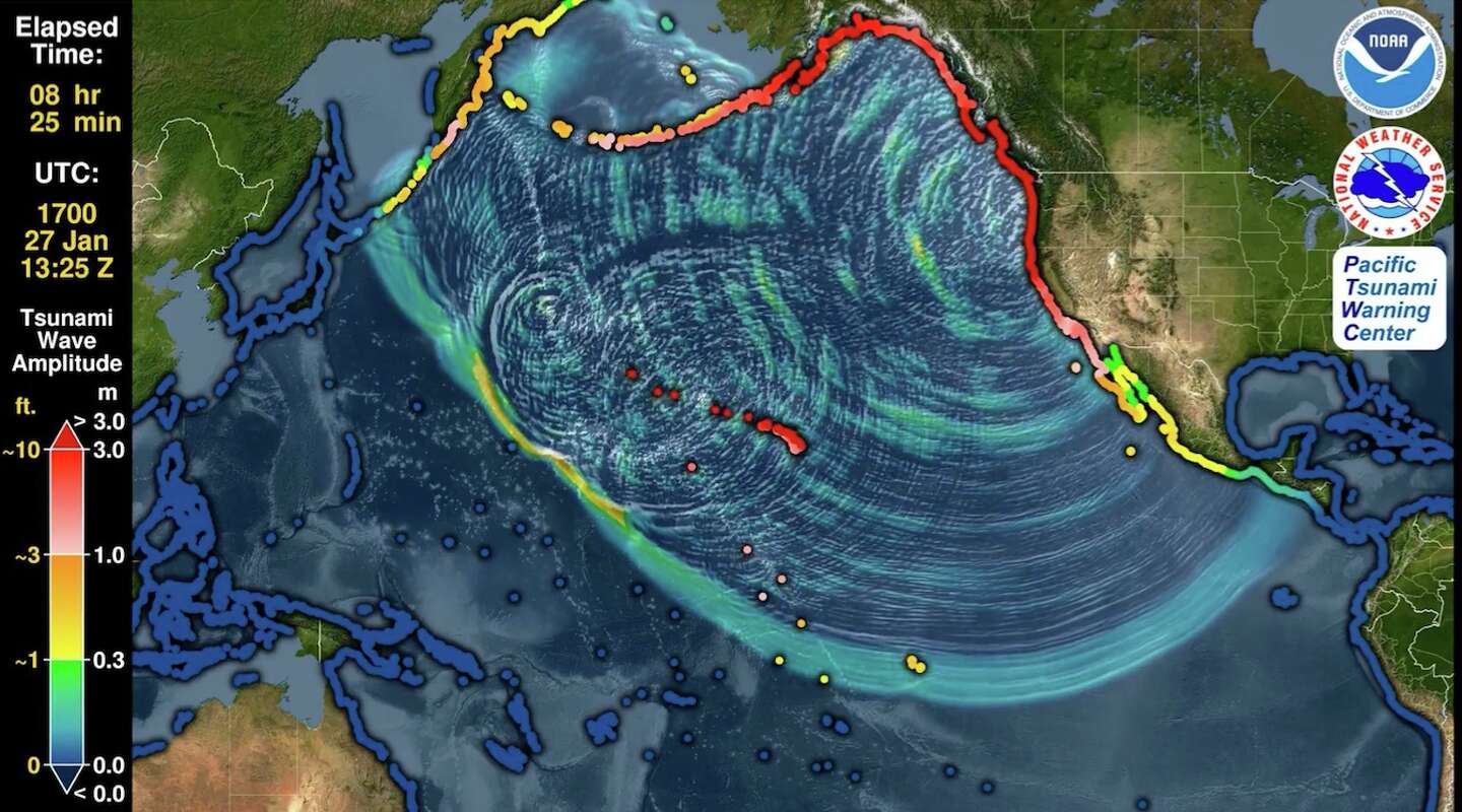 Watch The Ocean-crossing Tsunami Generated By A NW Megathrust Earthquake