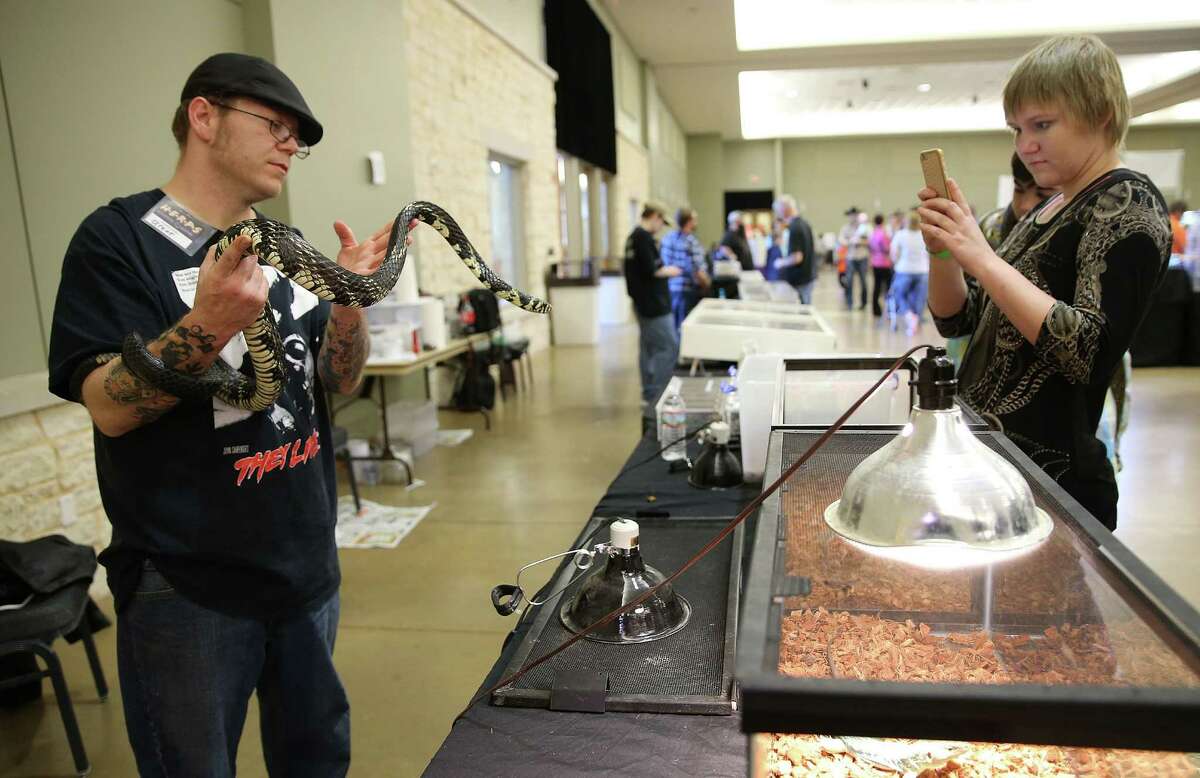 reptile show houston tx