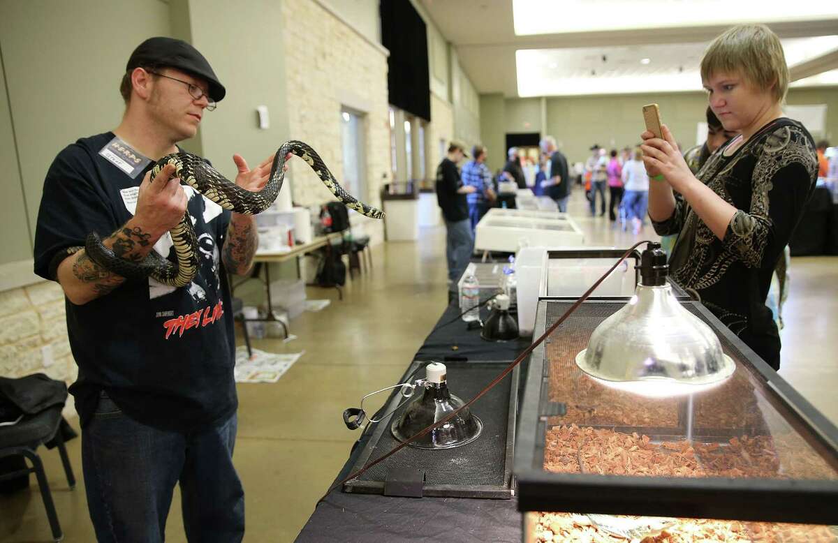 Houston Exotic Reptile and Pet Show