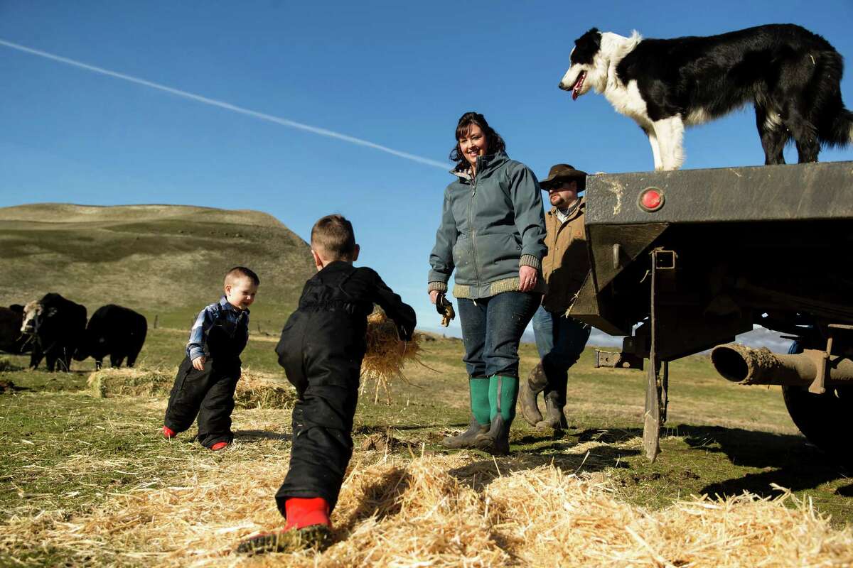 Melissa Mead, who struggled with postpartum depression and now volunteers for Postpartum Support International, and her sons Brady, 4, and Emmett, 2, help her husband A.J., in back, feed cattle in The Dalles, Ore., Jan. 25, 2016. A panel of experts appointed by the Department of Health and Human Services is recommending screening for maternal mental illness in the wake of new evidence that maternal mental illness is more common than previously thought. (Leah Nash/The New York Times)