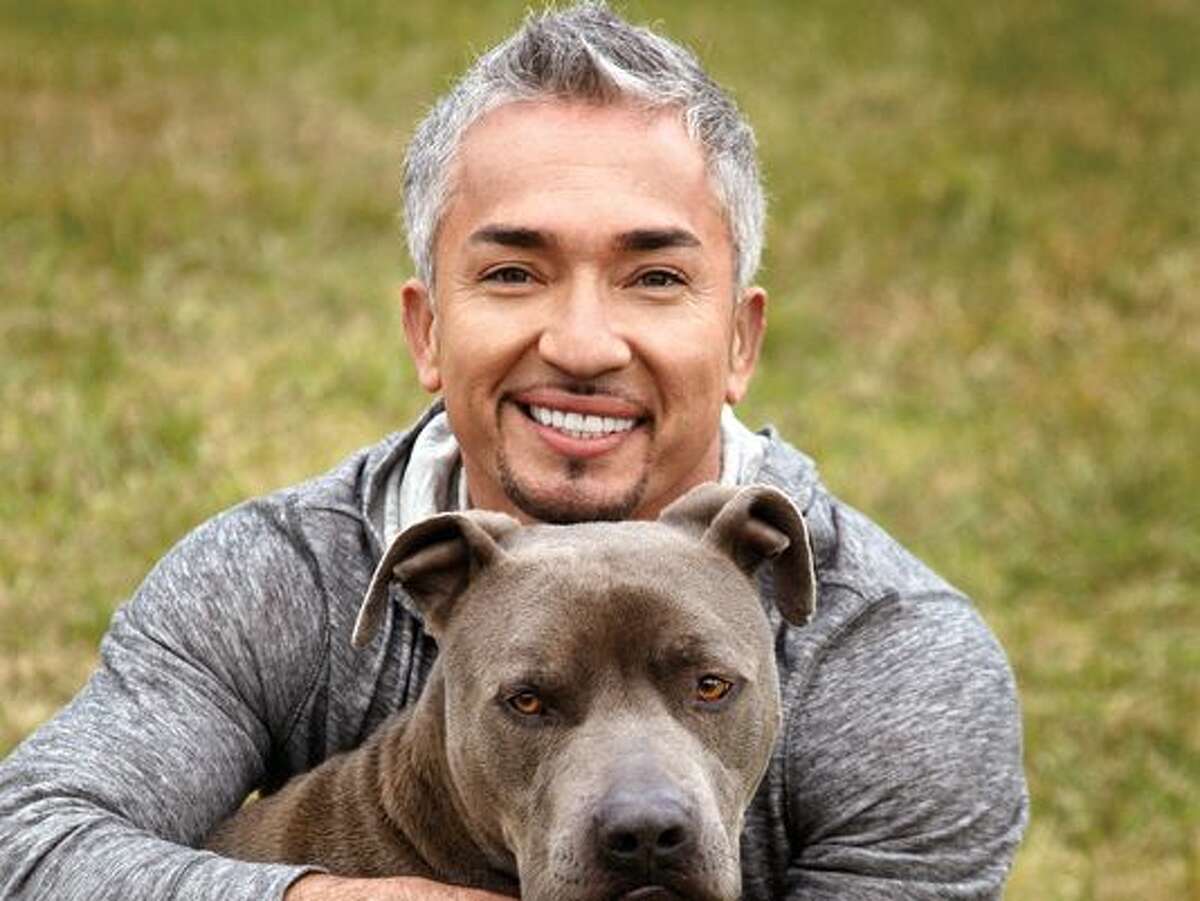 ‘Dog Whisperer’ Cesar Millan at Bushnell Jan. 30