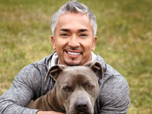 cesar millan prices - Ilustrasi 2