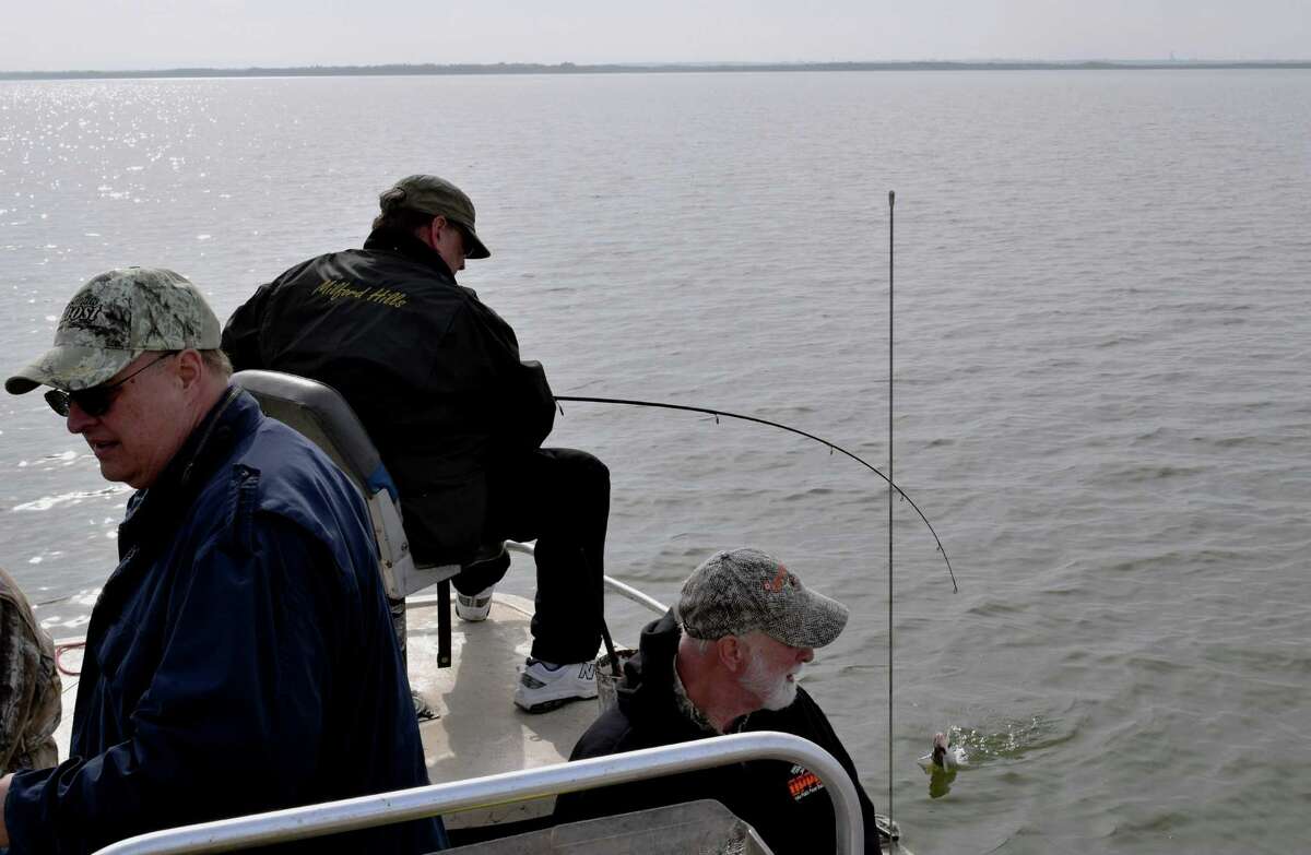 State study examines blue catfish population at Choke Canyon